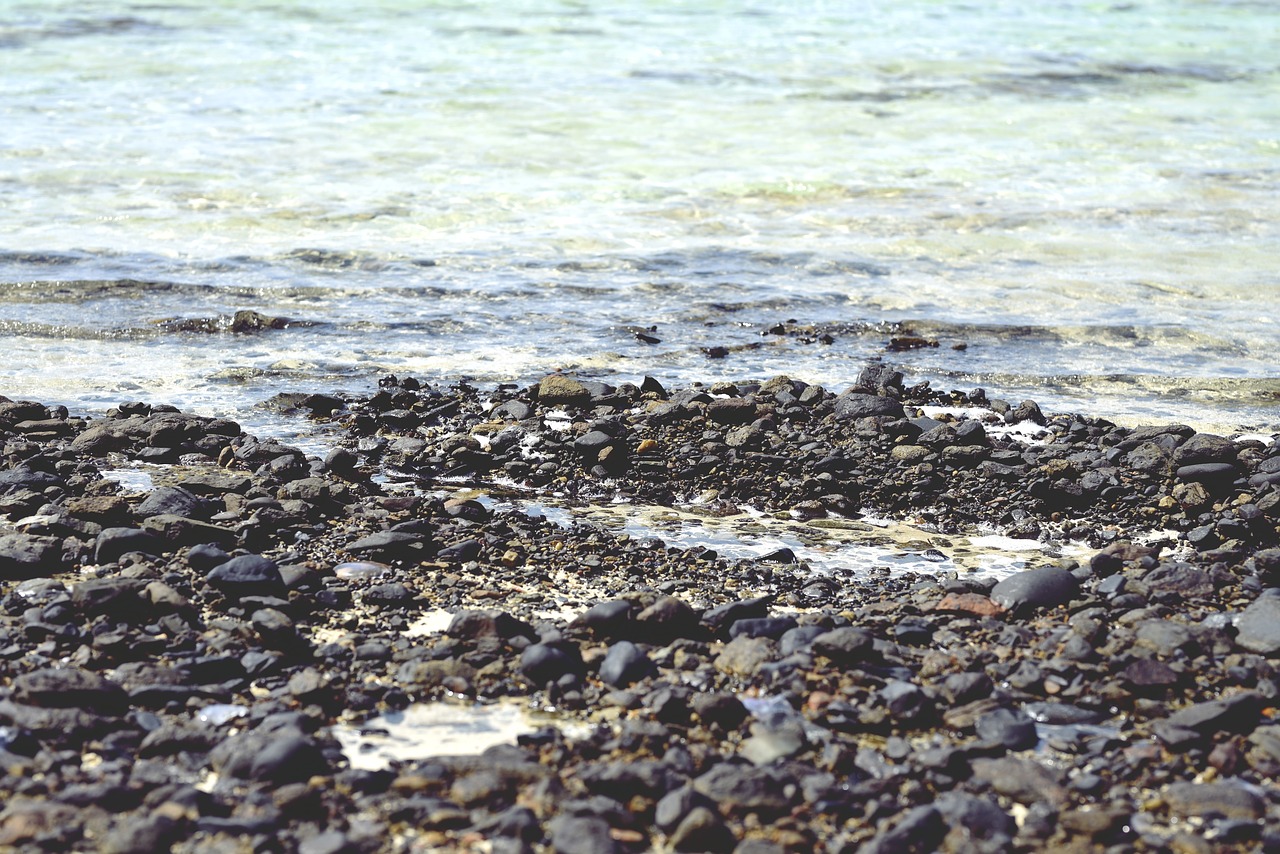 rocks beach water free photo