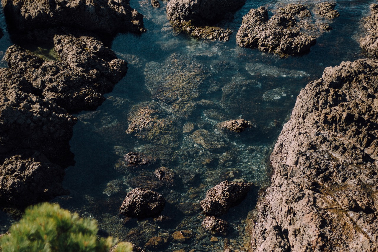 rocks sea water free photo