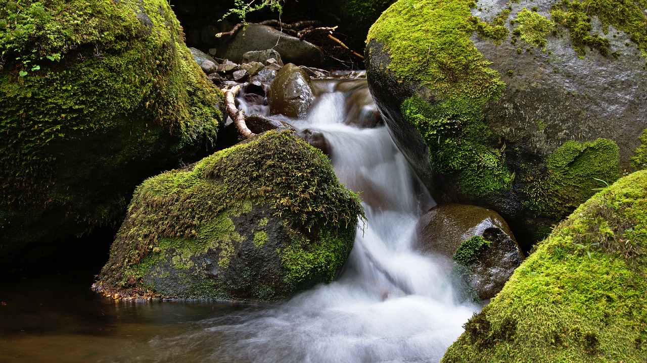 rocks nature green free photo