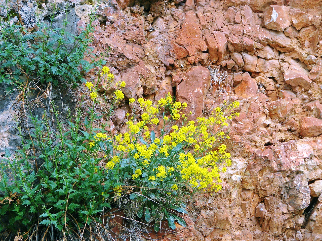 rocks cliffs structure free photo