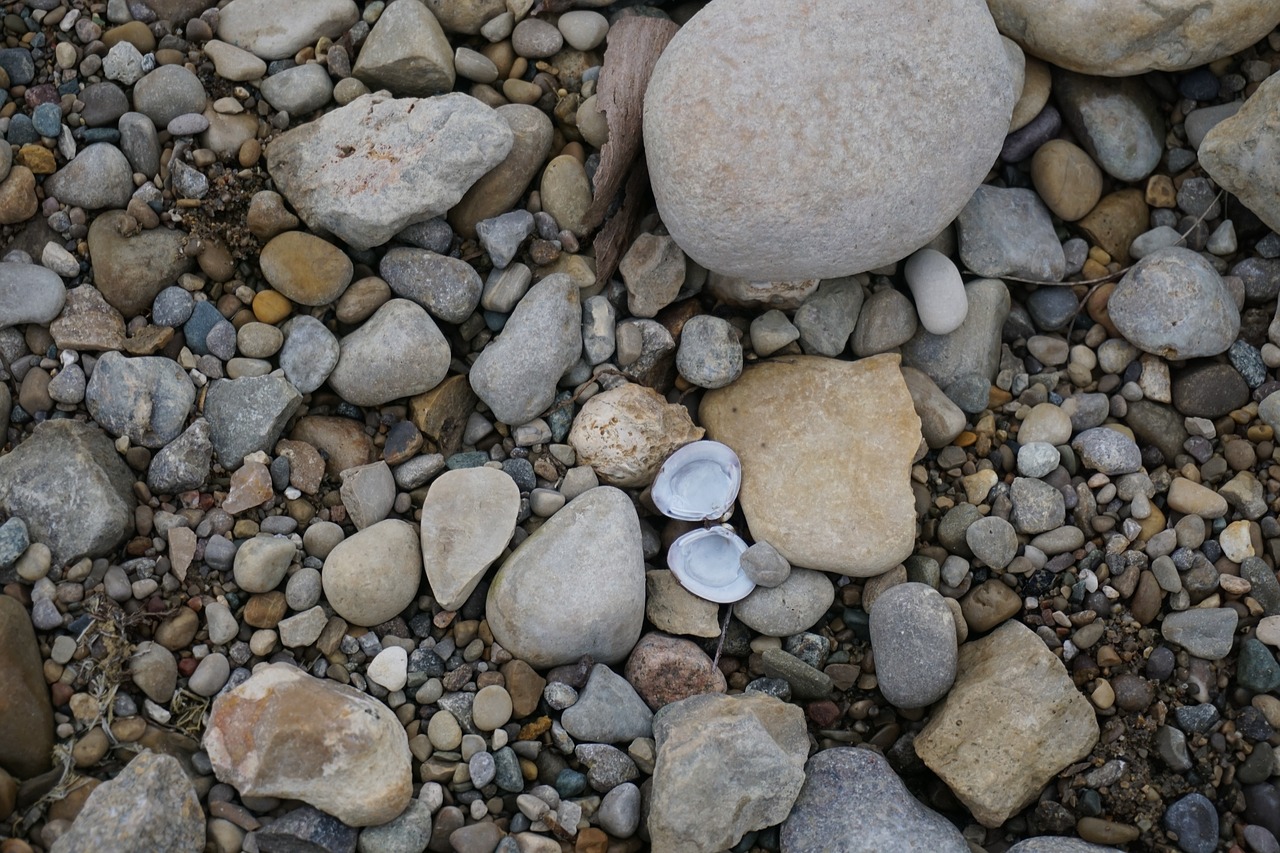 rocks shell lake free photo
