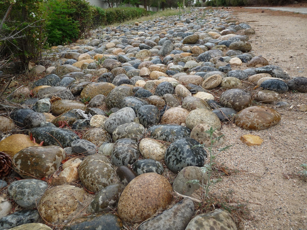 rocks rain nature free photo