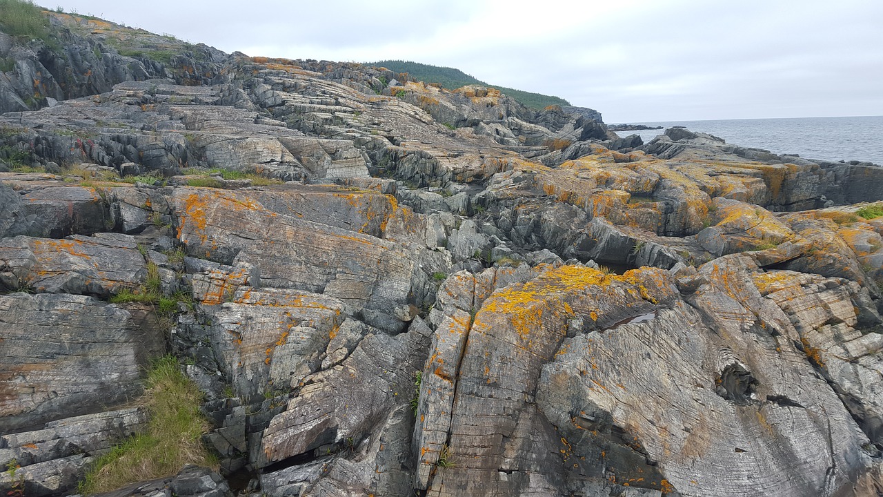 rocks newfoundland water free photo