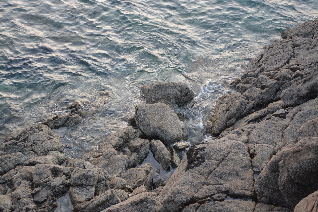 rocks sea beach free photo