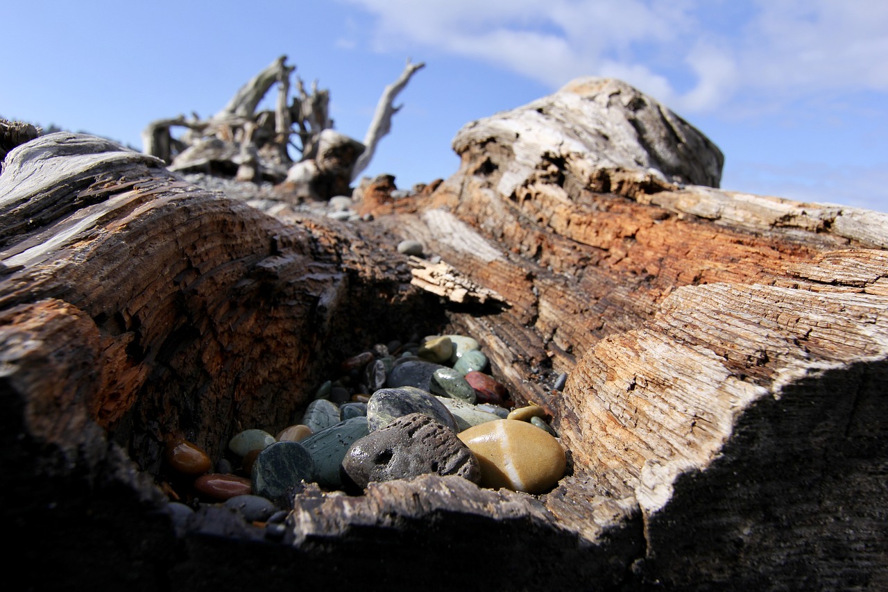 rocks  driftwood  sky free photo