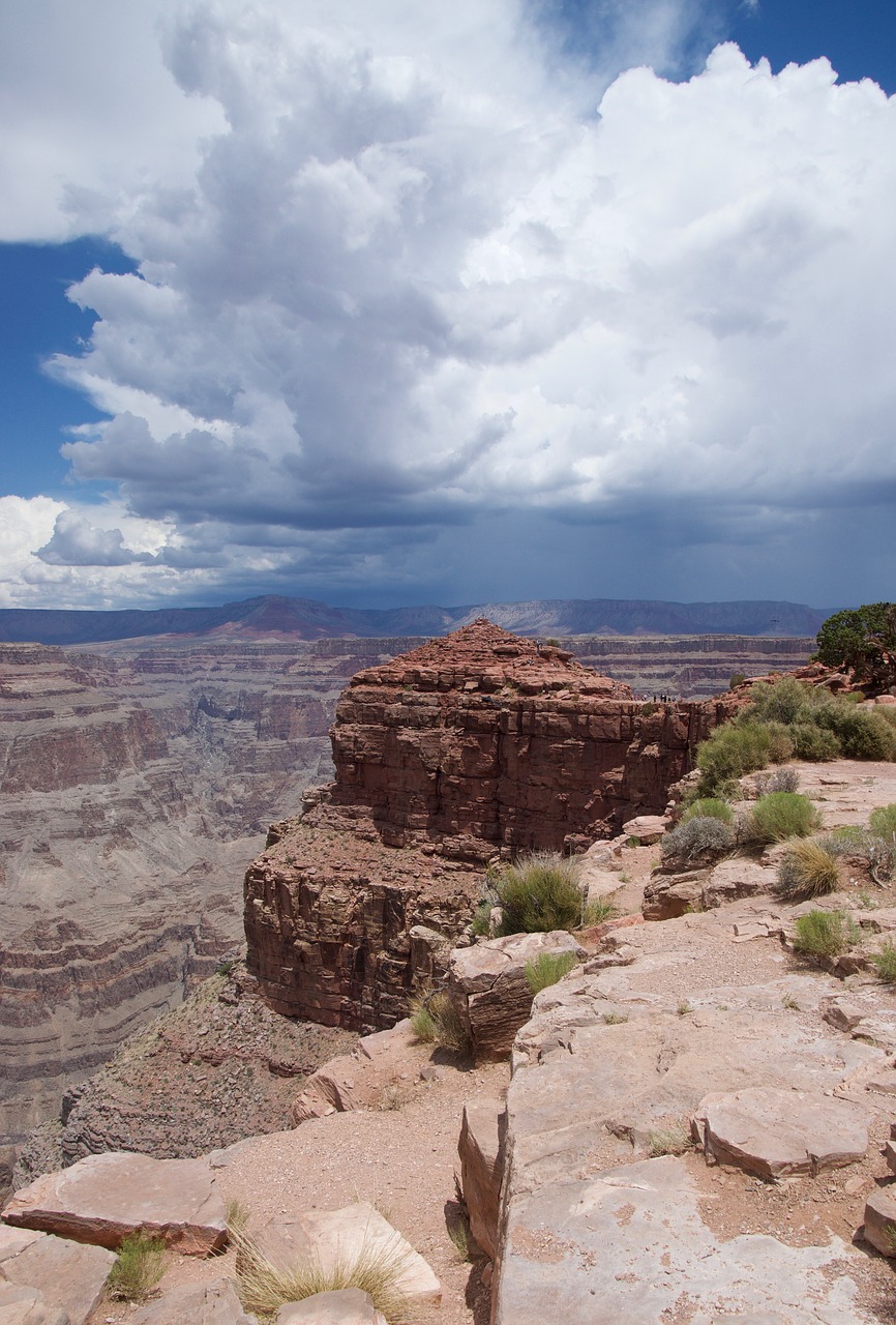 rocks  grand canyon  cactus free photo