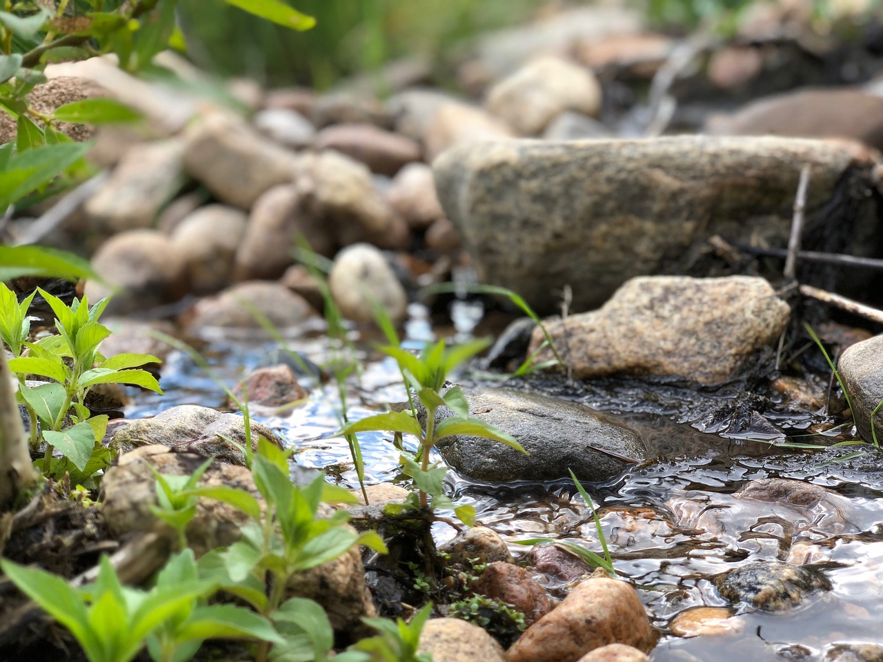 rocks  creek  nature free photo