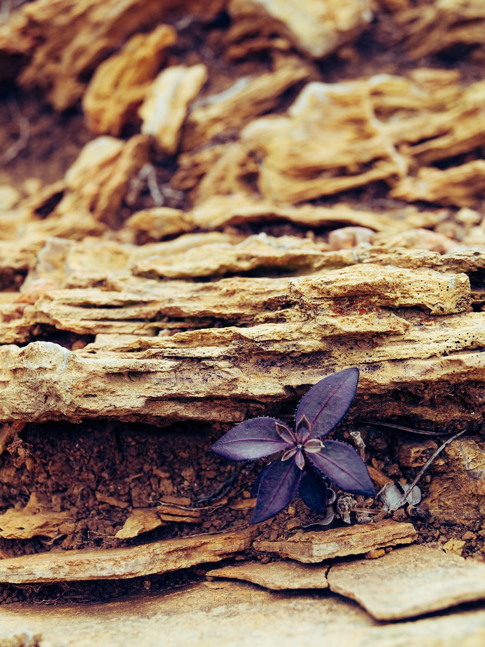 rocks  mountain  purple free photo