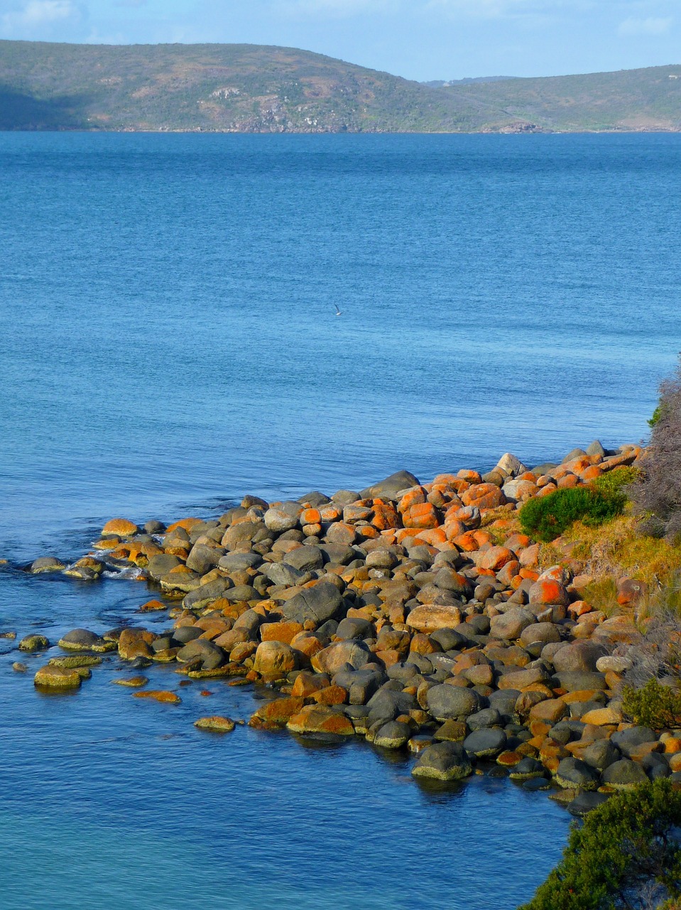 rocks  geology  coast free photo