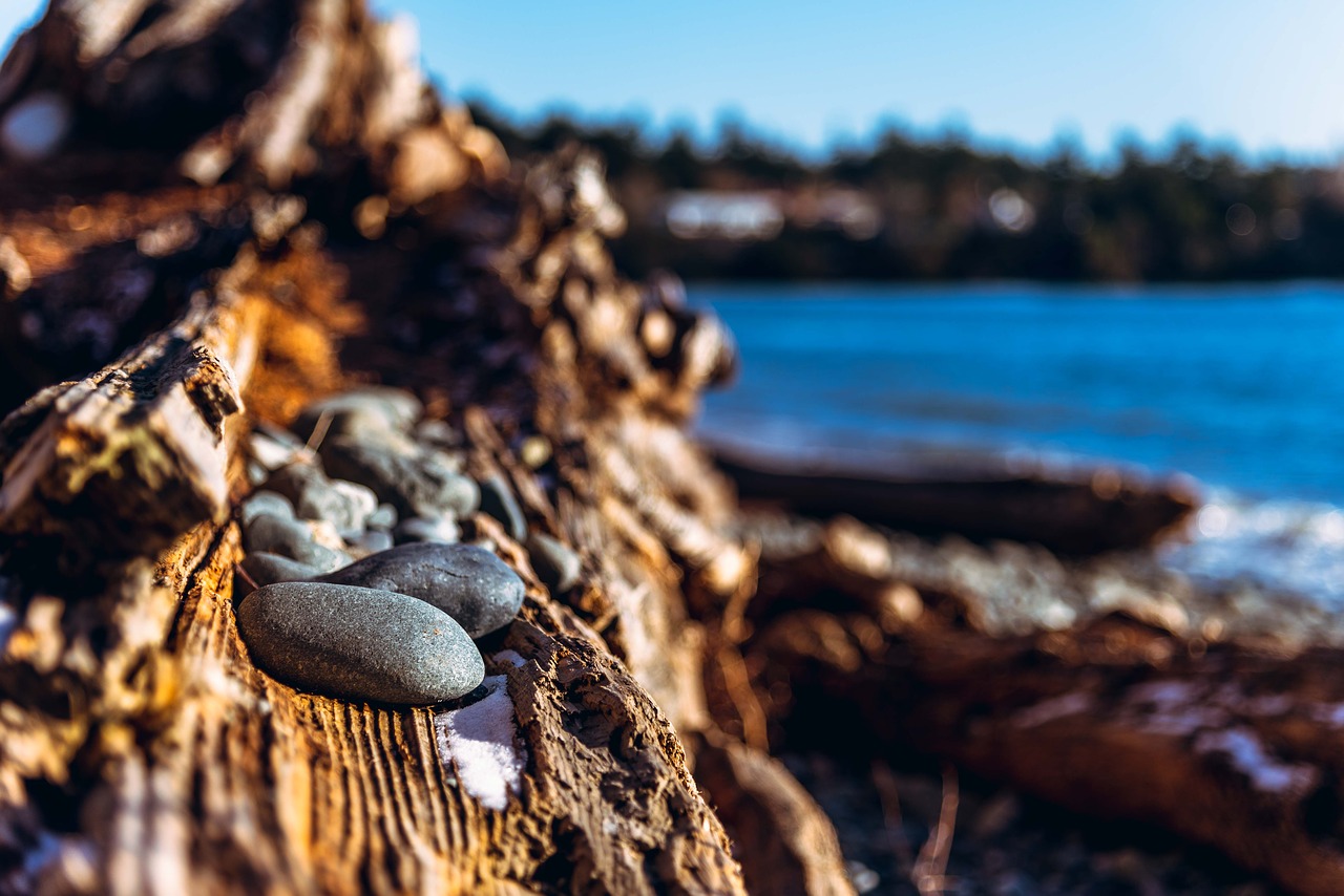 rocks  ocean  landscape free photo