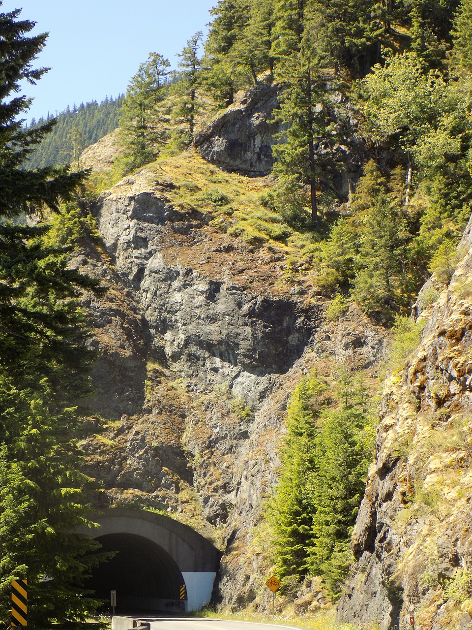 rocks  trees  tunnel free photo