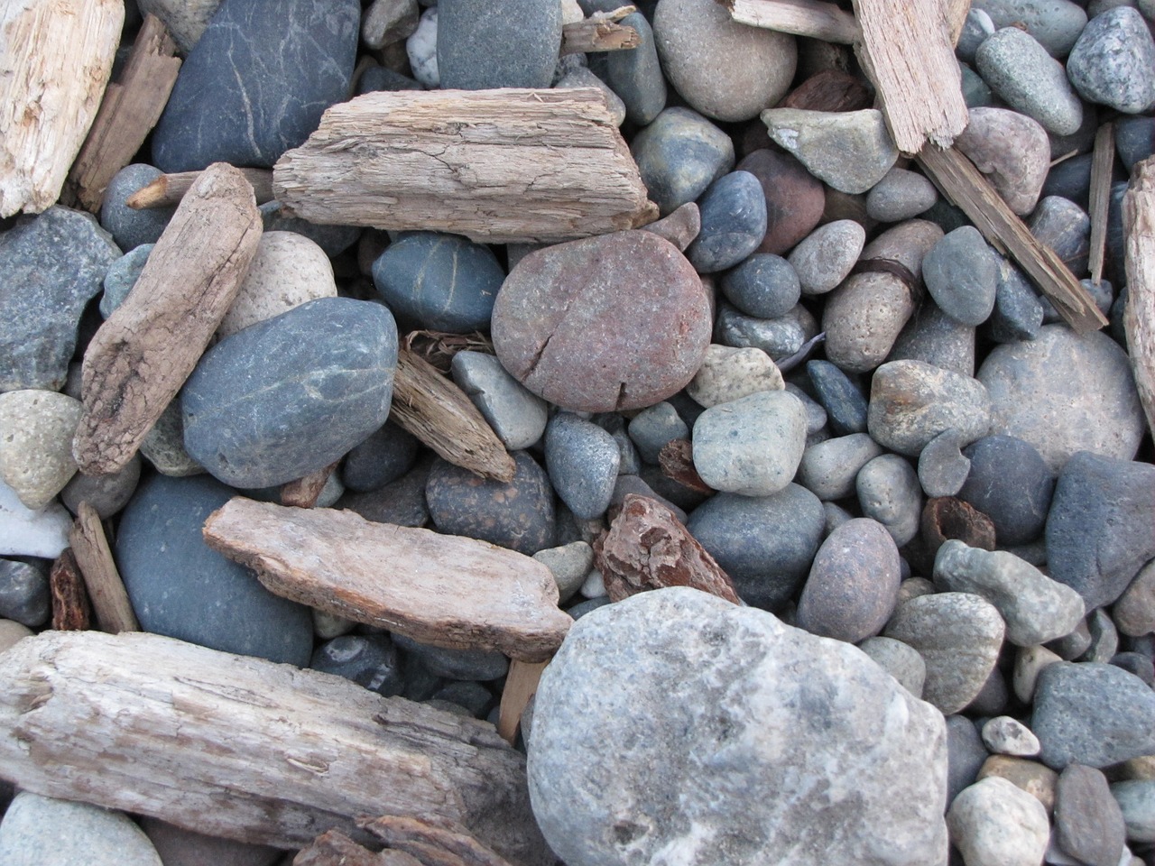 rocks wood beach free photo