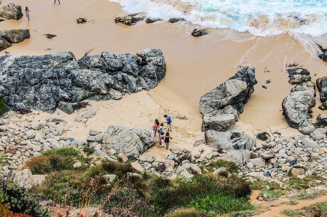 rocks sand beach free photo