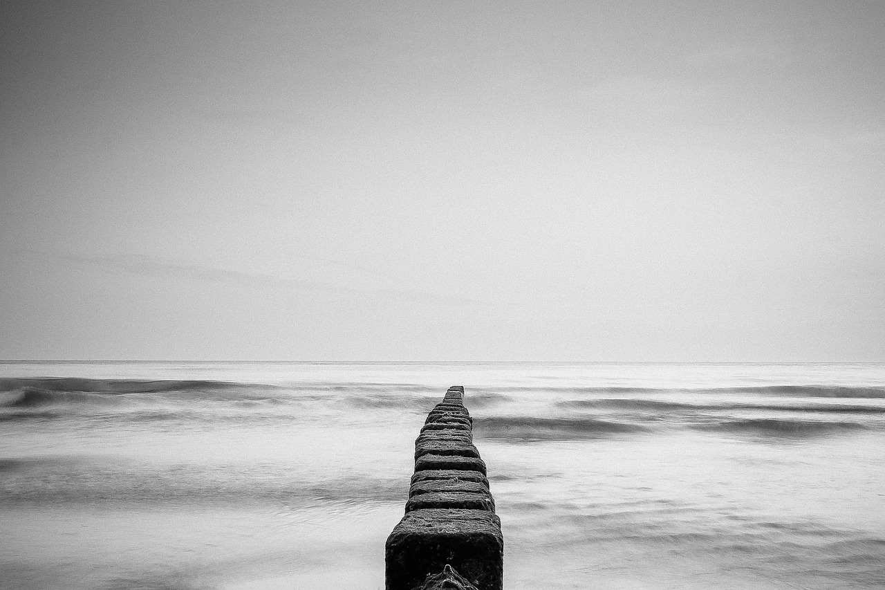 rocks fog ocean free photo