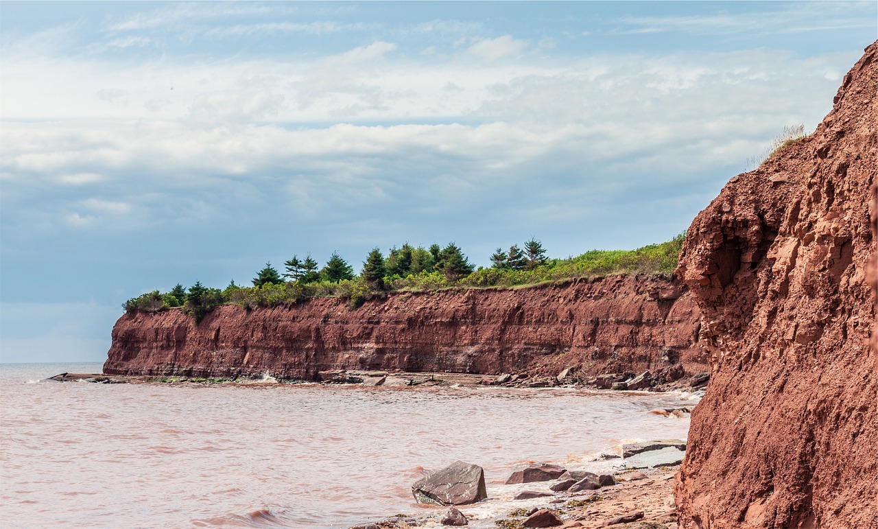 rocks shore water free photo