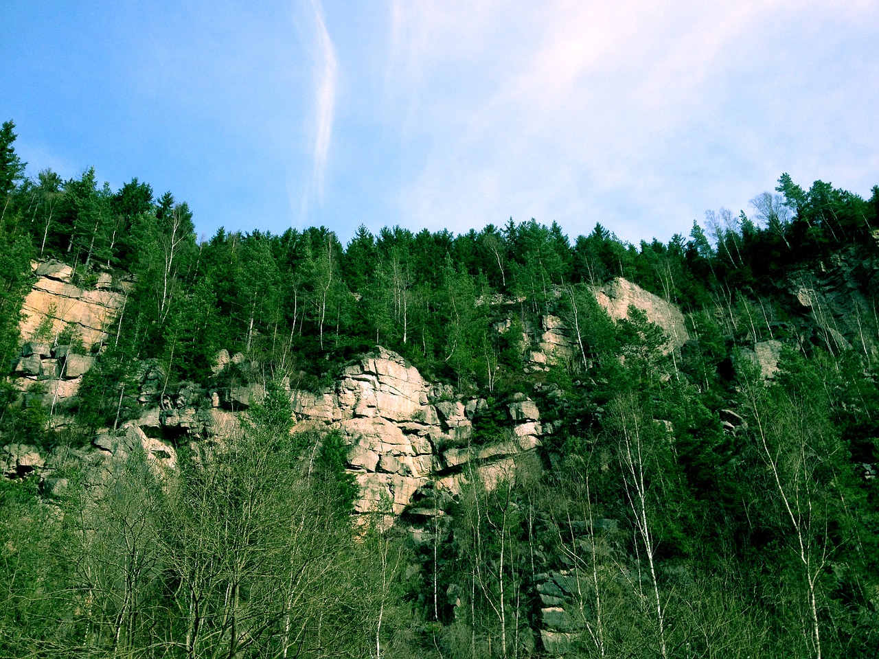 rocks forest nature free photo