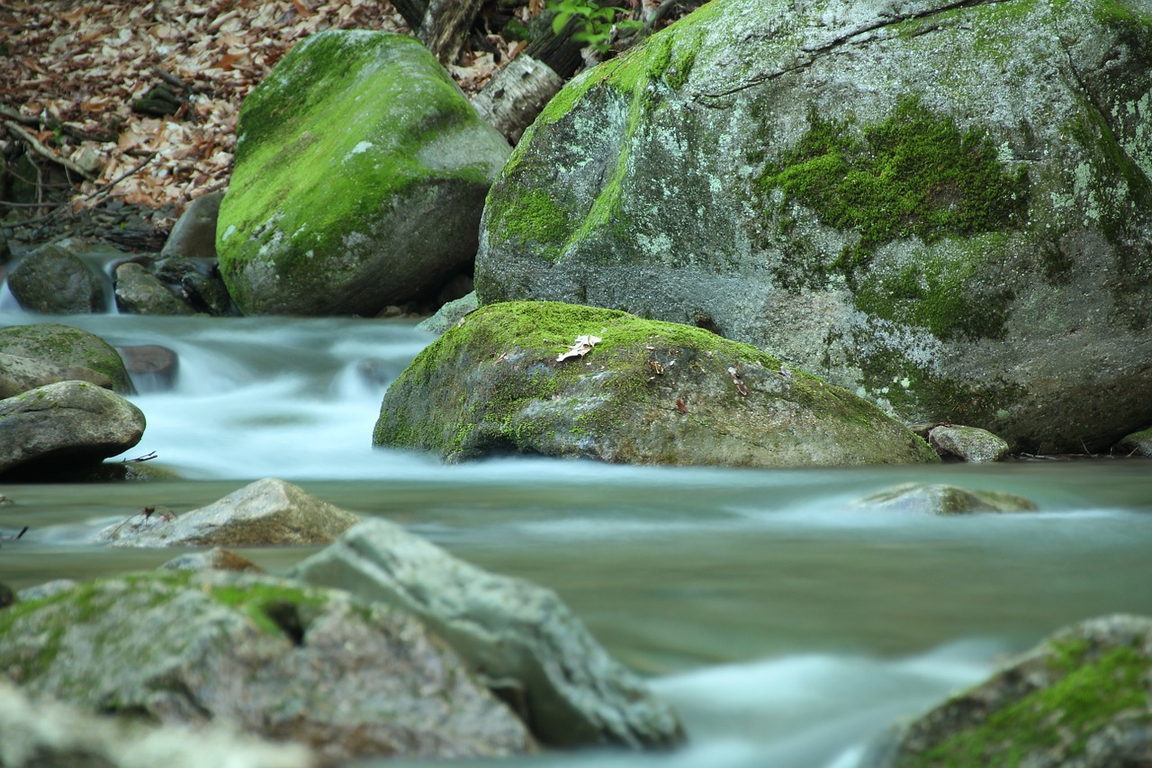 rocks water green free photo