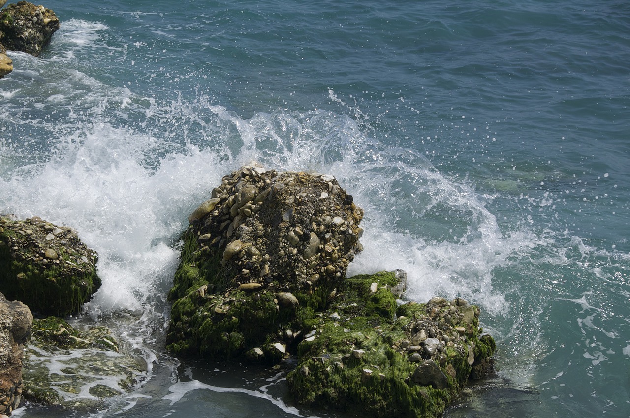 rocks beach costa free photo