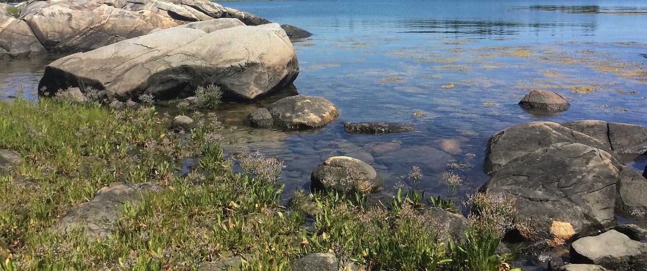 rocks beach maine free photo