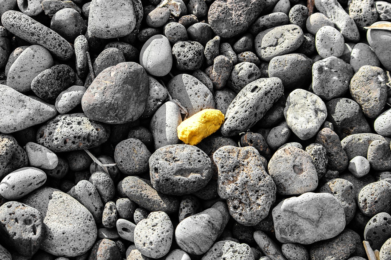 rocks sponge sea free photo