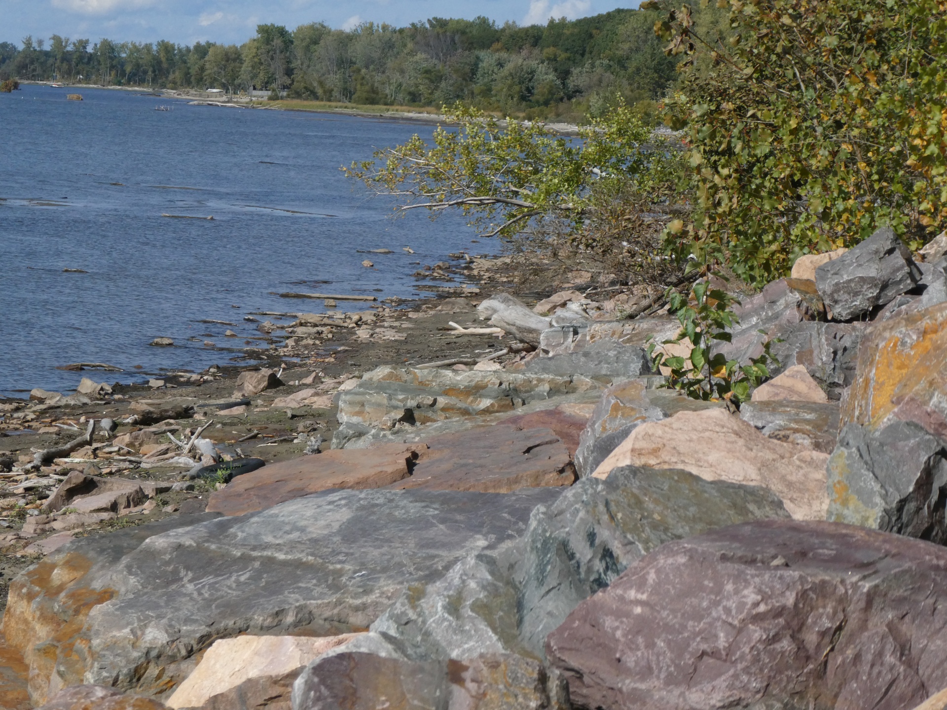 lake water rock free photo