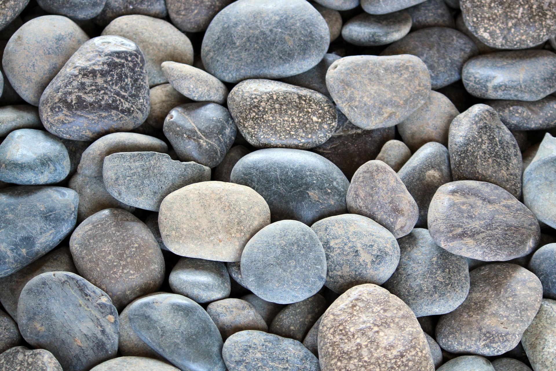 Round Flat Rocks Stock Photo, Picture and Royalty Free Image