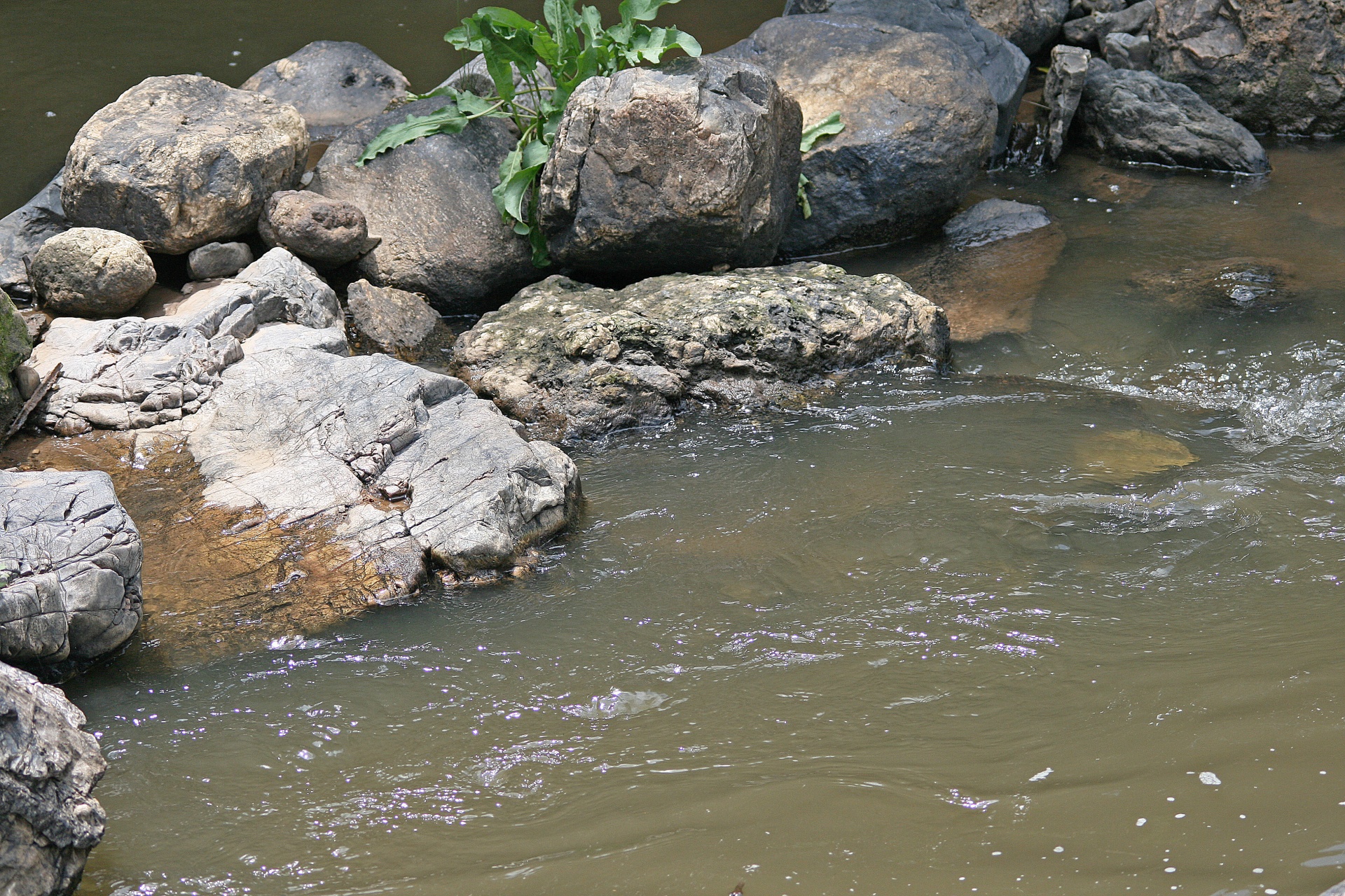 water river flowing free photo