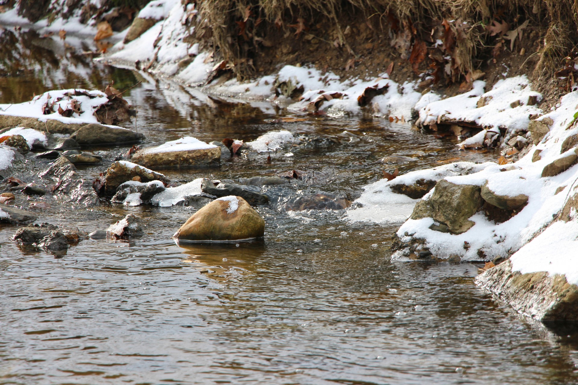 stream water flow free photo