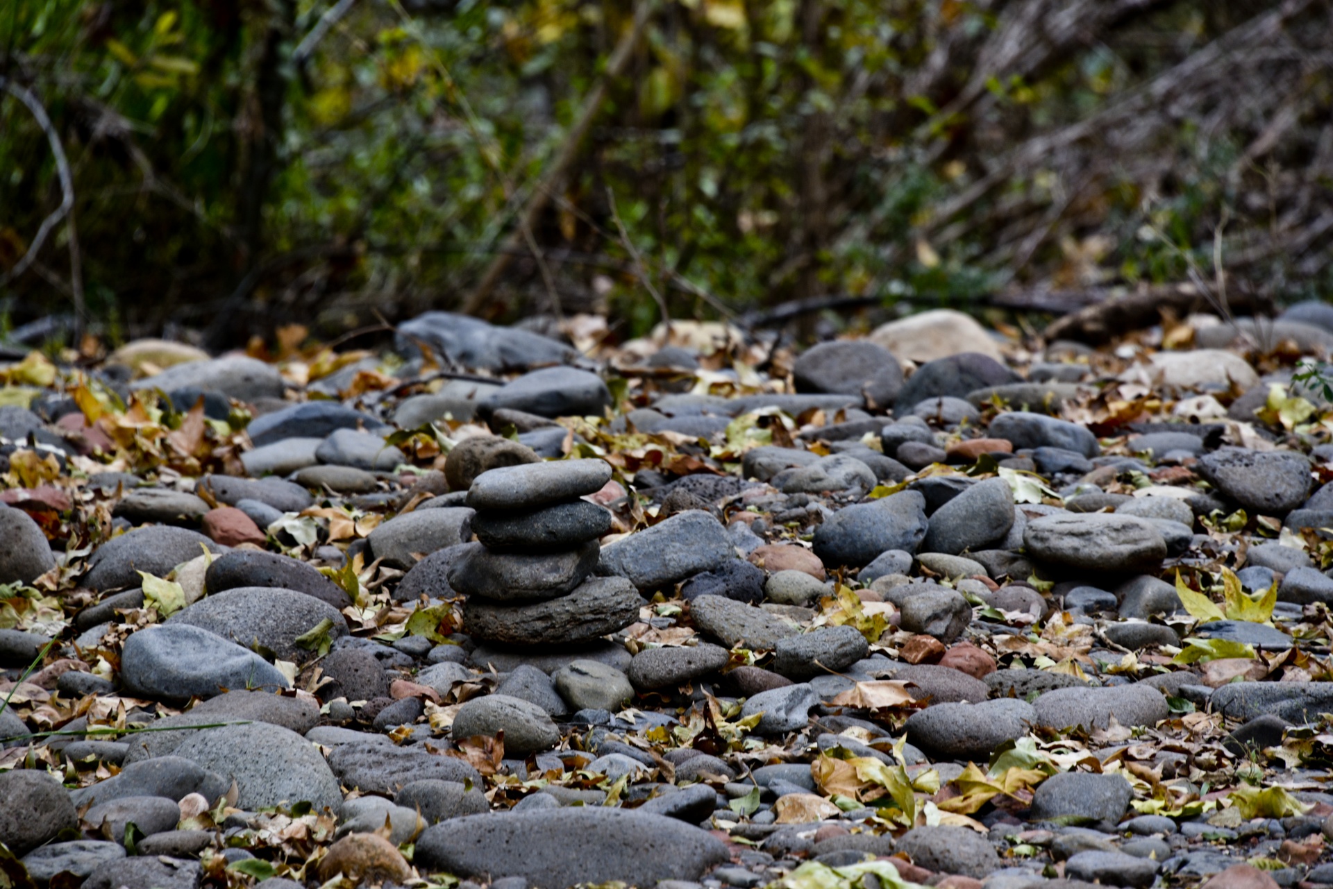 zen rocks rock free photo