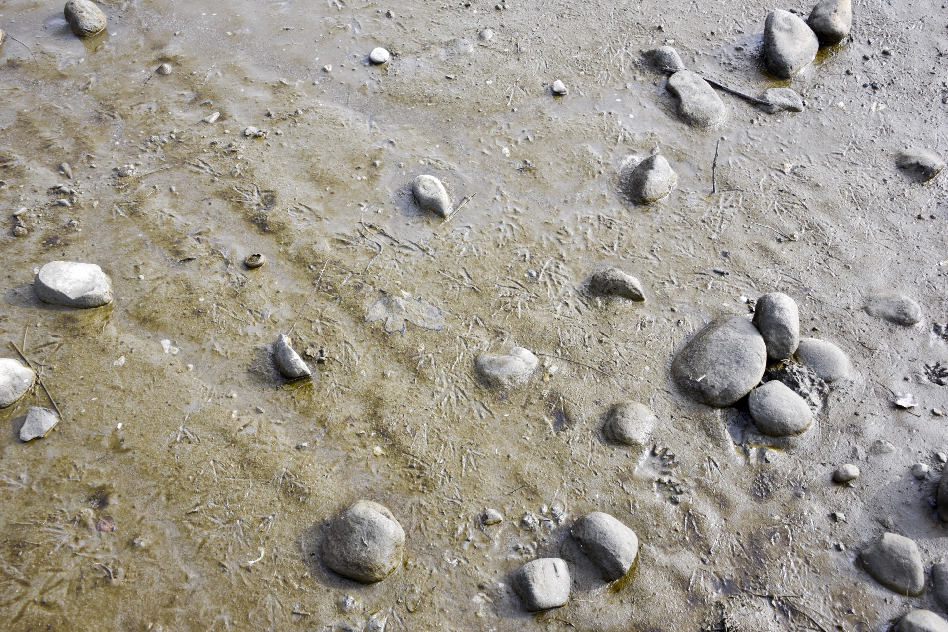 sand rocks wet free photo