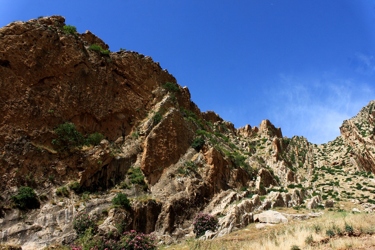rocky mountain landscape free photo