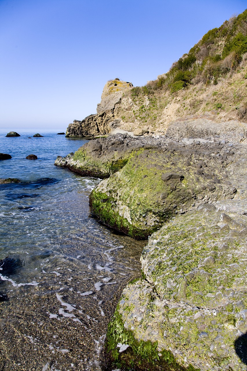 rocky marine beach free photo