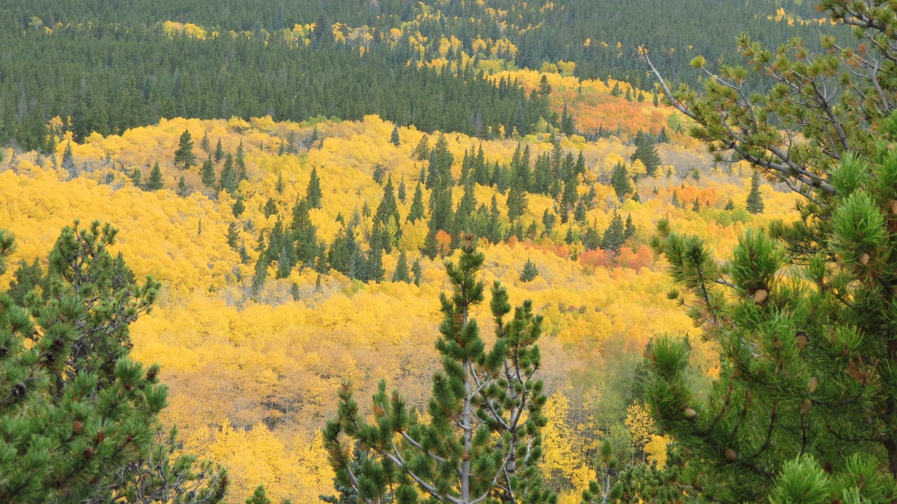 rocky mountain national free photo