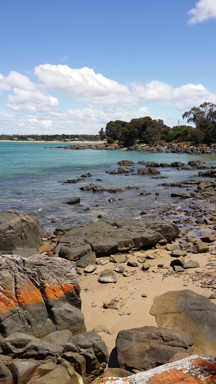 rocky  beach  water free photo