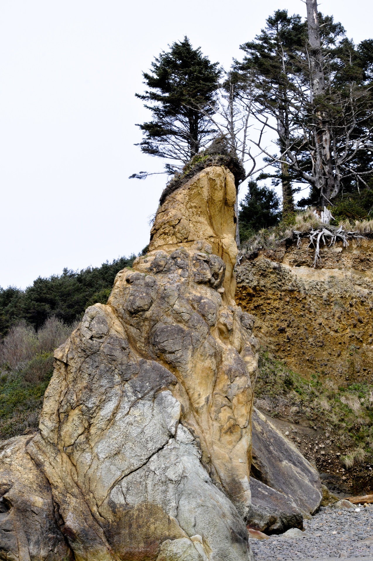 oregon rocks cliffs free photo