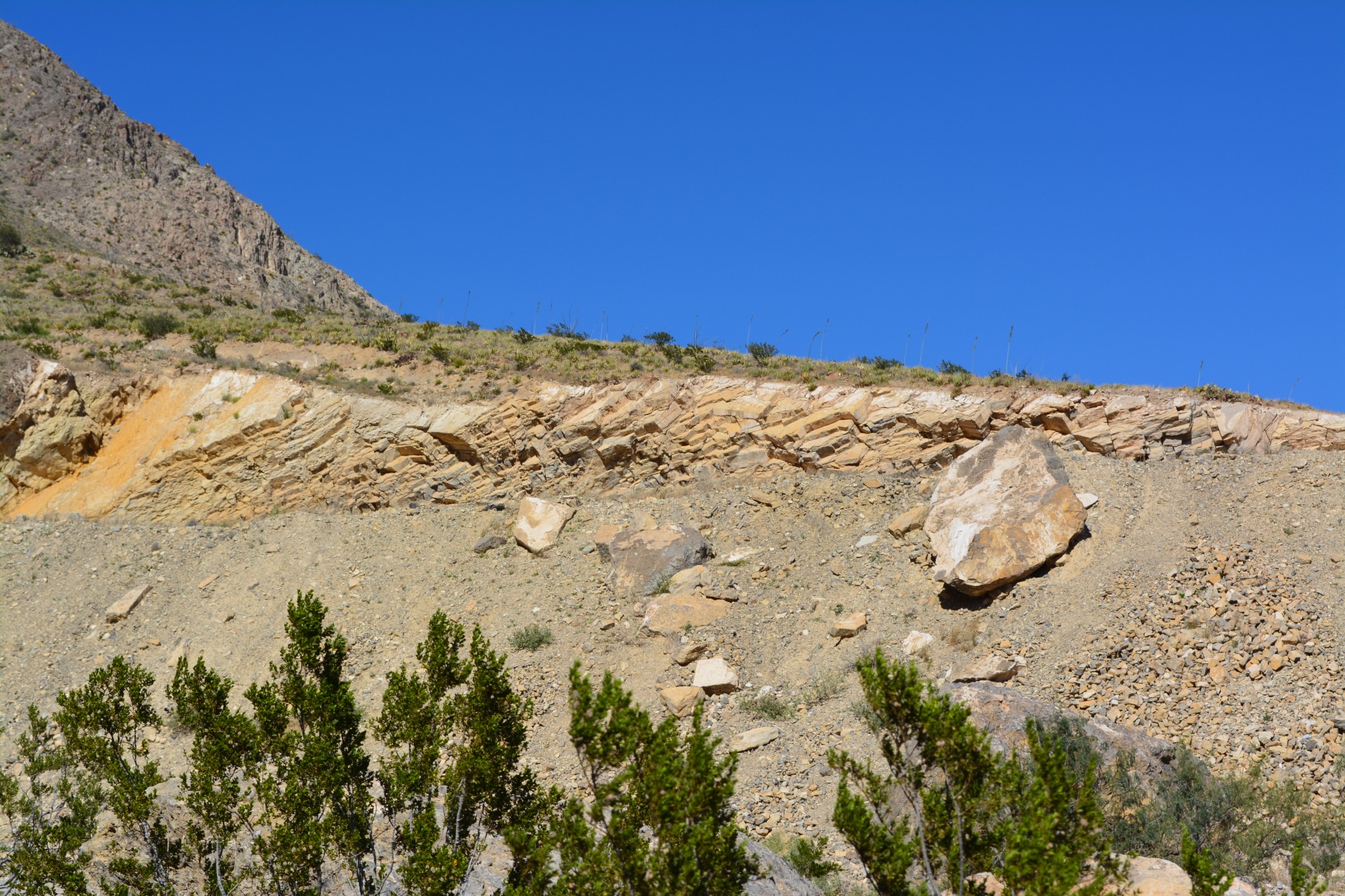 franklin mountains state free photo