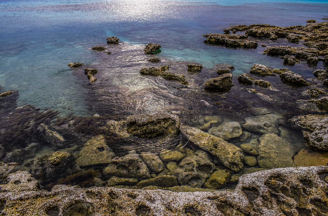 rocky coast stones sea free photo