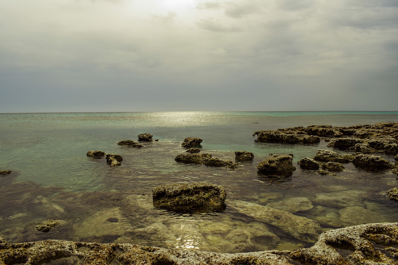 rocky coast stones sea free photo