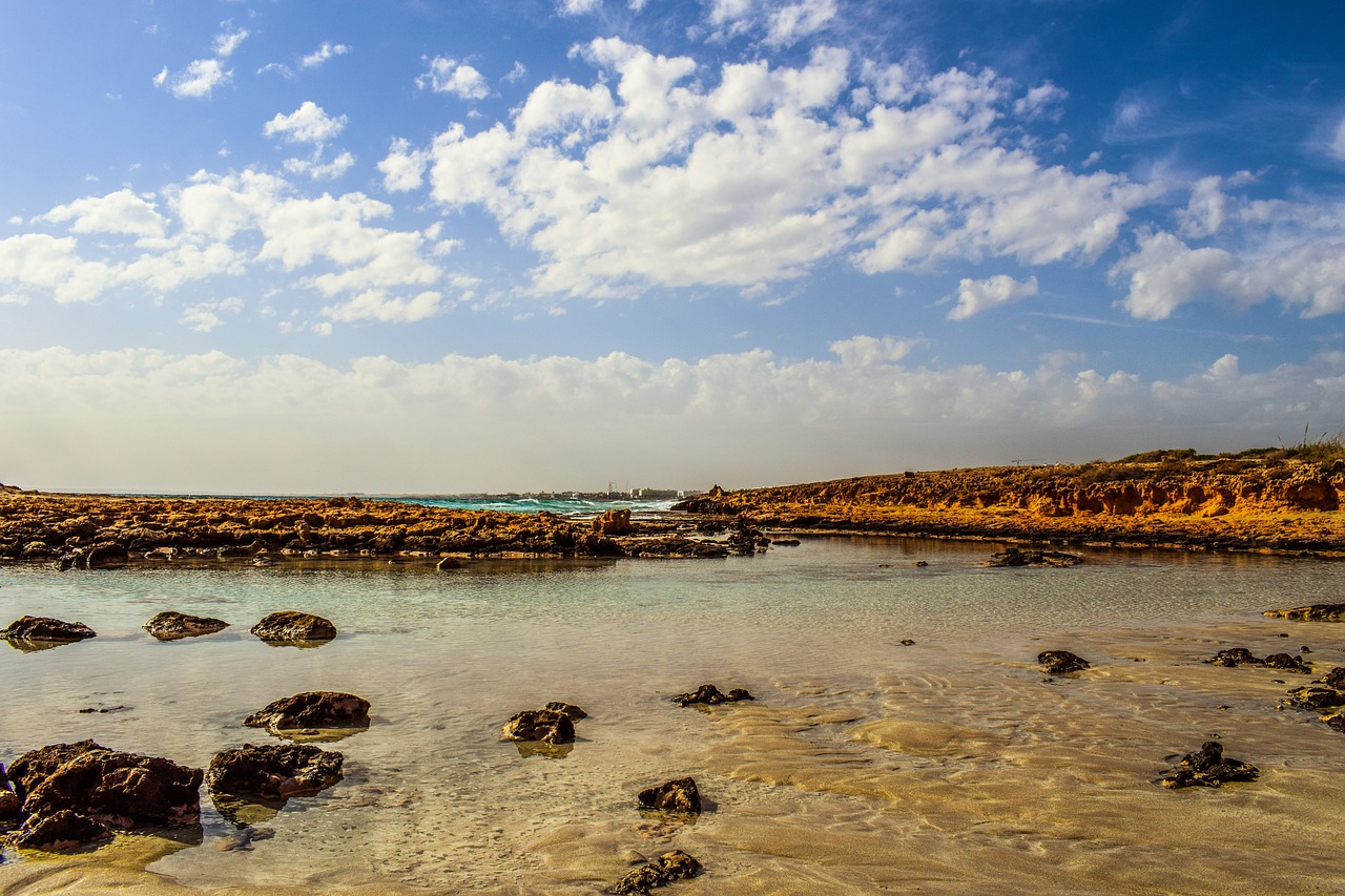 rocky coast beach sea free photo