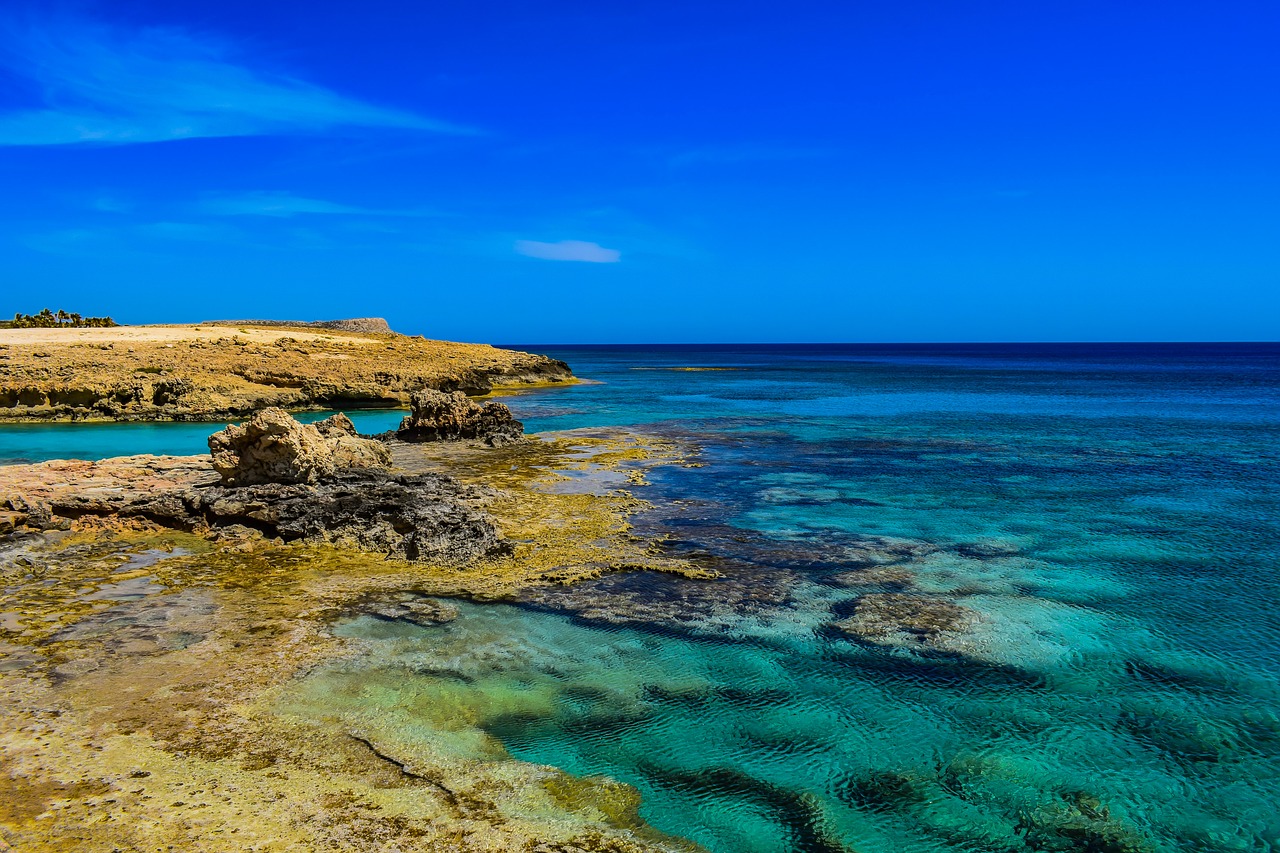 rocky coast  sea  water free photo