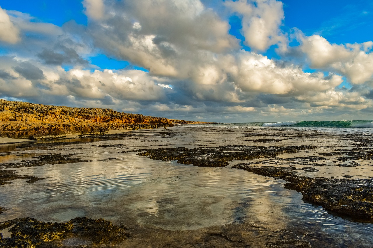 rocky coast  beach  rock free photo