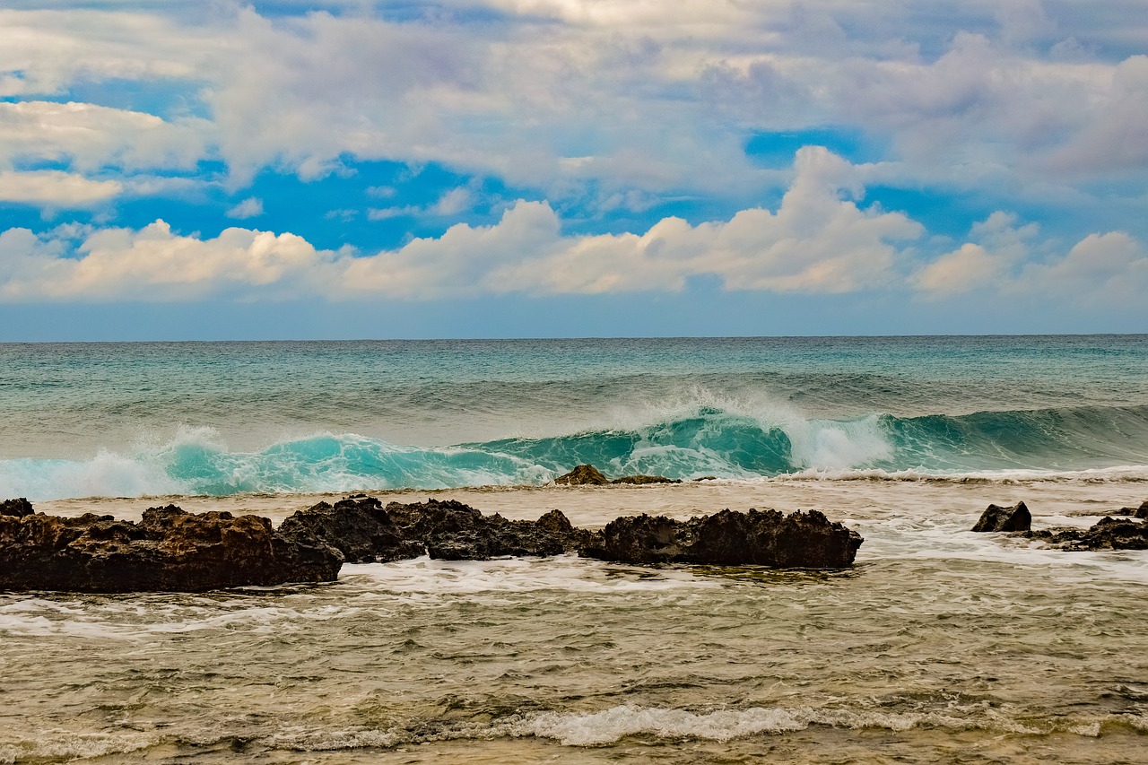 rocky coast  sea  wave free photo