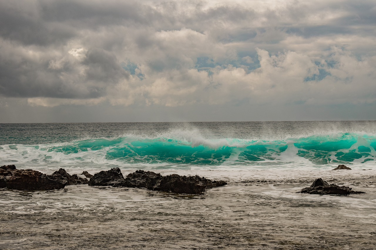 rocky coast  sea  wave free photo