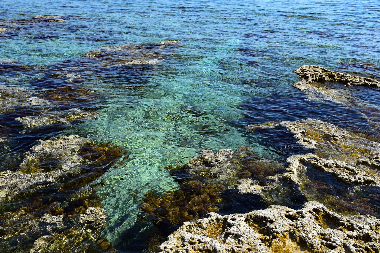 rocky coast  sea  transparent free photo