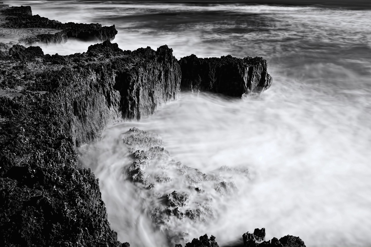 rocky coast sunshine state hutchinson island free photo