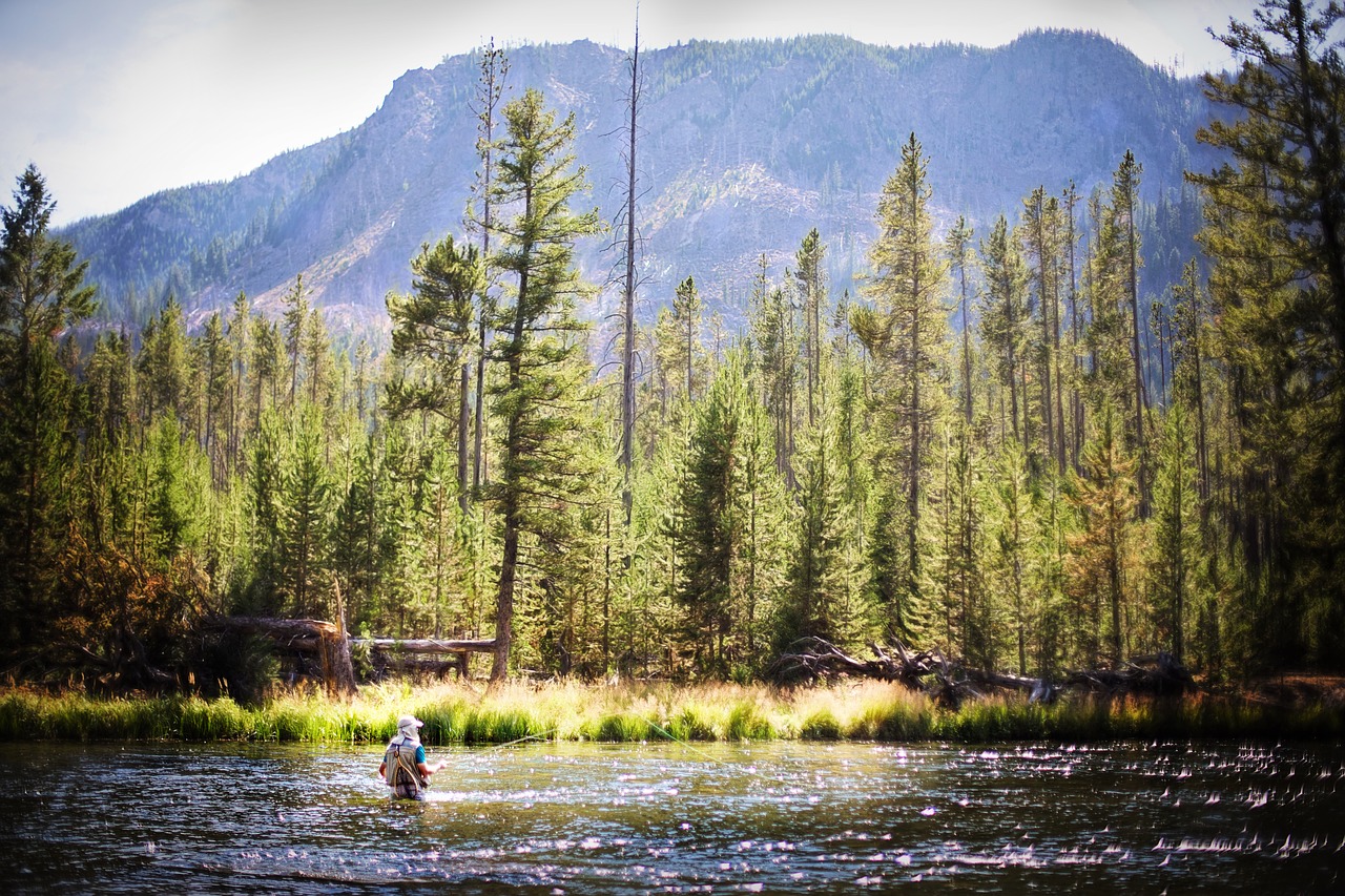 rocky mountains fisherman stream free photo