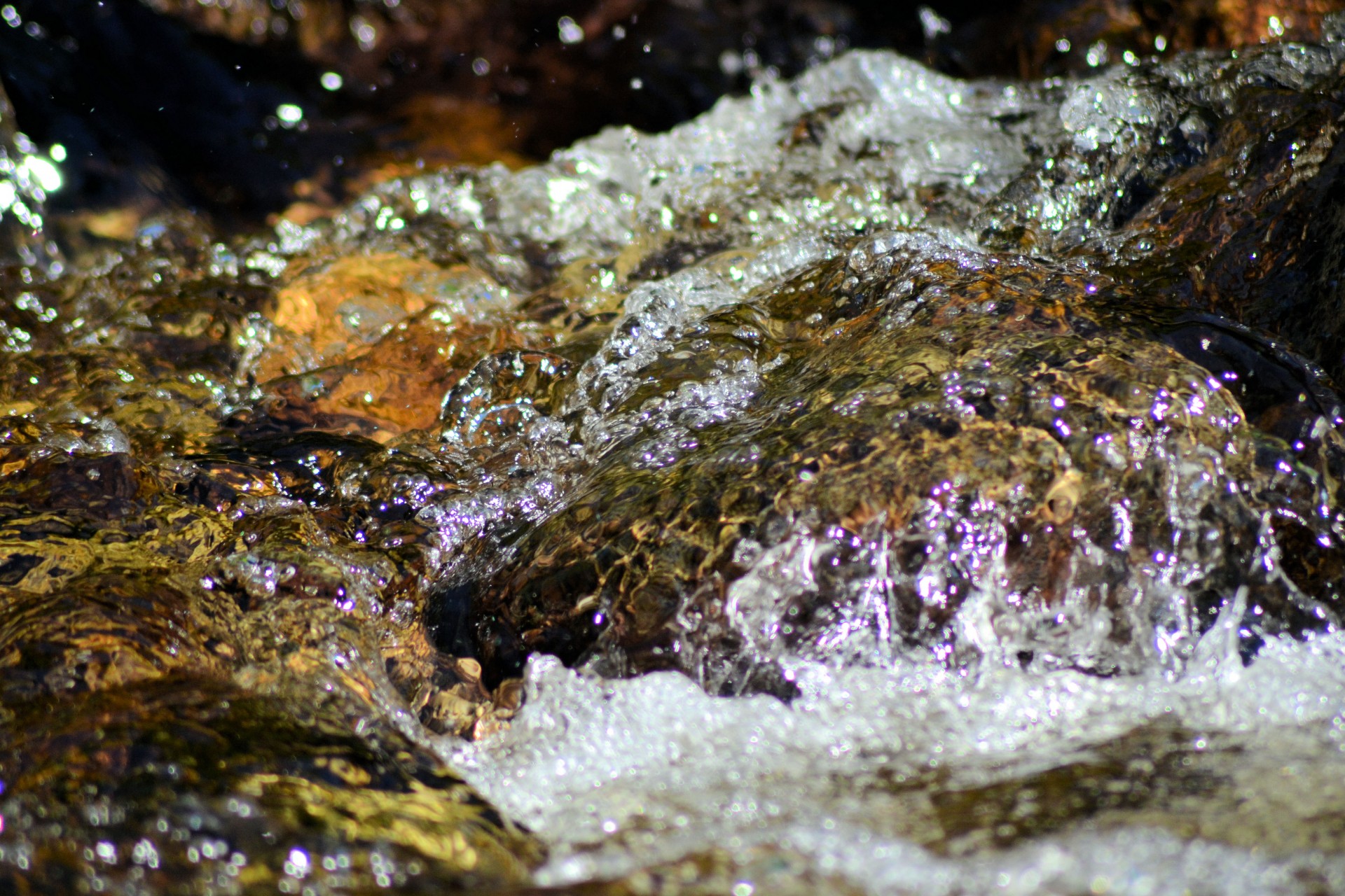 creek water running free photo
