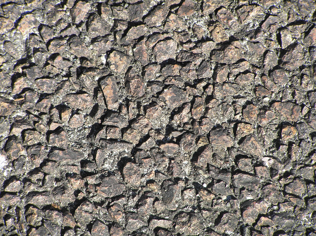 rocky rough texture free photo