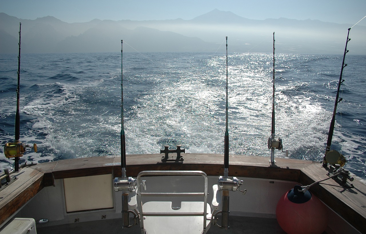 rod ocean fishing free photo