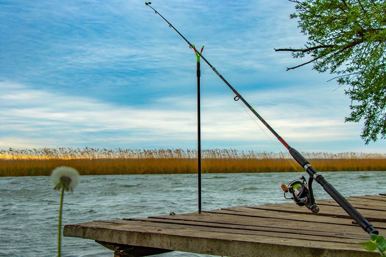rod  fishing  fishing reel free photo